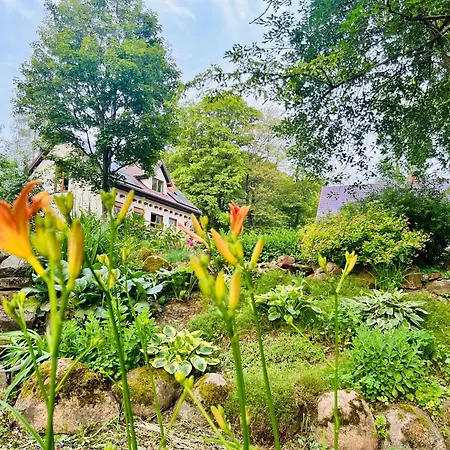 Park Wilkasy * Wilkasy (Goldap)